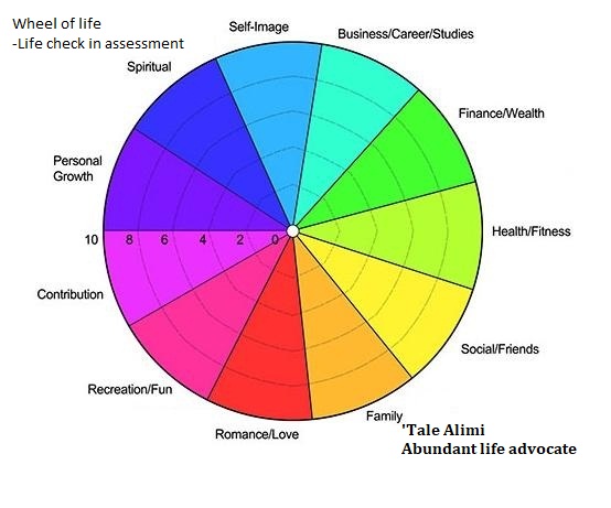 Life Check In Life check in exercise – Tale Alimi